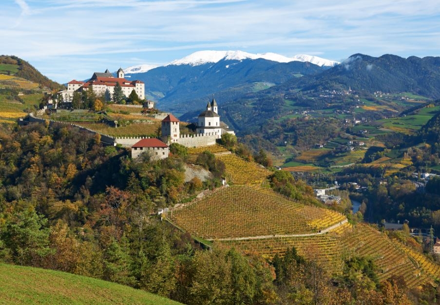 3dc8d8b92f8ced08cddec721cf805abd